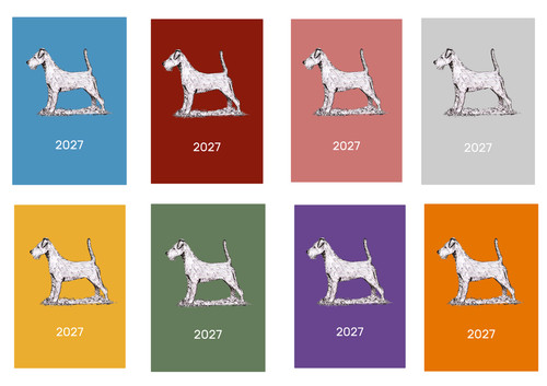 Irish terrier 2027 - irish, a5
