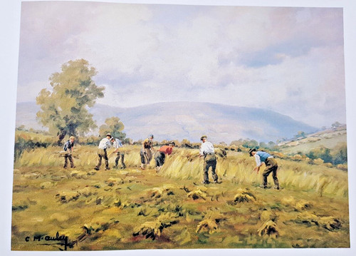Ireland artist charles mcauley - artist,