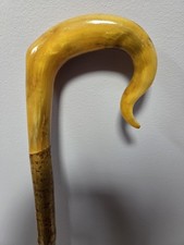 Genuine shepherds crook nose