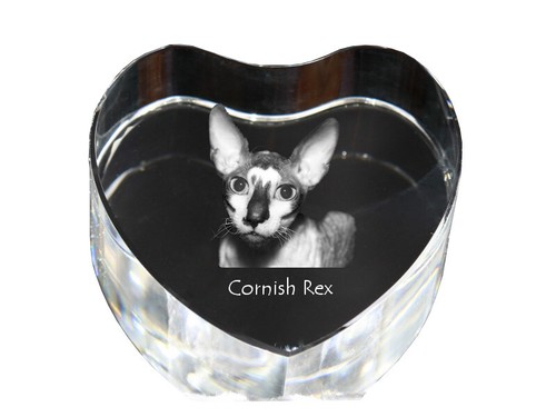 Cornish rex crystal - rex,