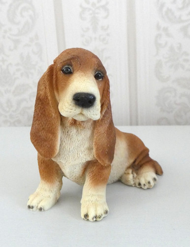 Bassett hound castagna - castagna,