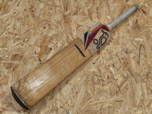 Vintage kookaburra beast - vintage,