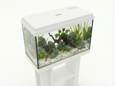 Brand new fish tank - fish,