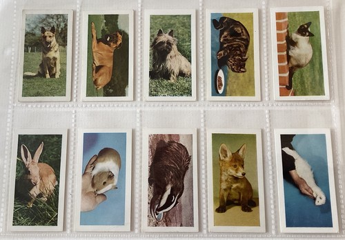 Hornimans tea 1960 pets - 1960,