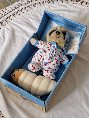 Compare the meerkat - baby, oleg