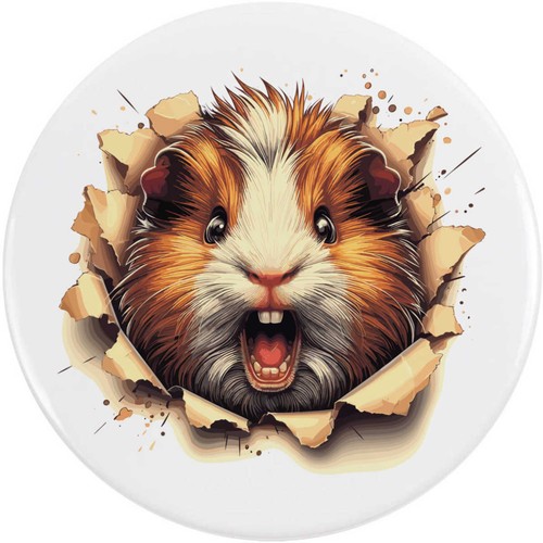 Angry guinea pig breakout - 'angry,
