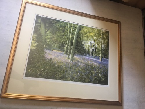 Large limited edition print - edition,