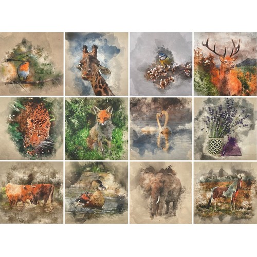 Premium art animal - premium,