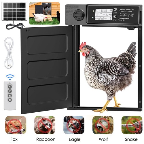 Automatic chicken coop - automatic, door