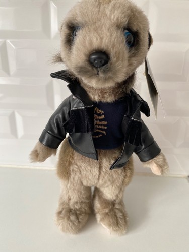 Compares the meerkat - compares,