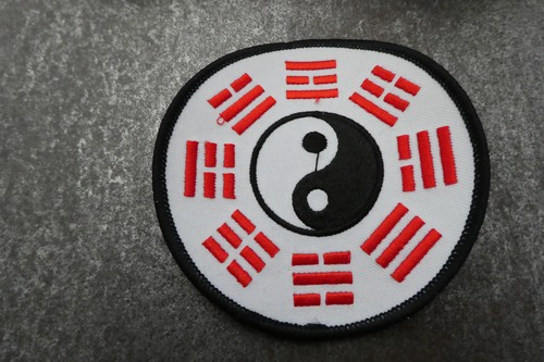 Yin and yang yinyang martial - yin,
