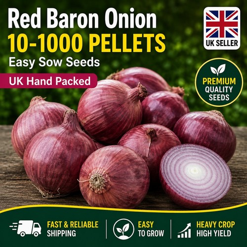 Red baron onion - baron,