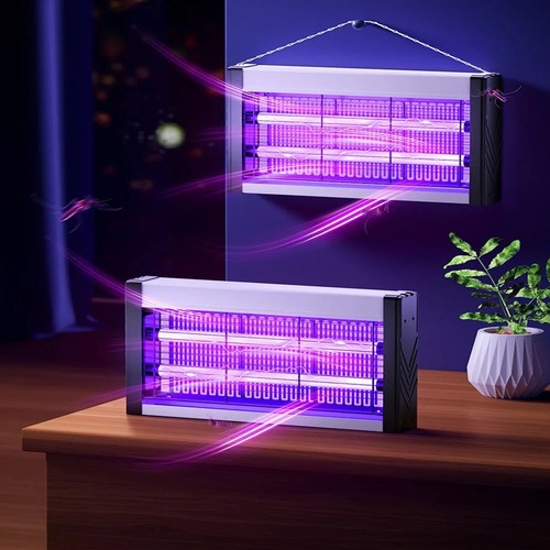 Electric insect mosquito bug - insect,