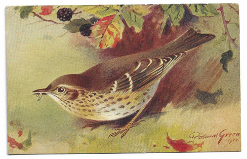 Artist drawn postcard a - postcard,