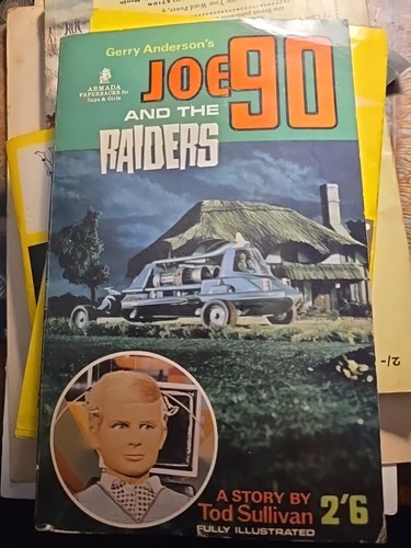 Joe and the raiders gerry - joe,