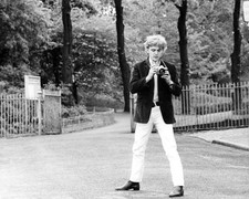 David Hemmings [1028875] 8x10 photo (other sizes available)