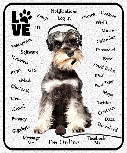 Miniature schnauzer dog lovers - miniature,