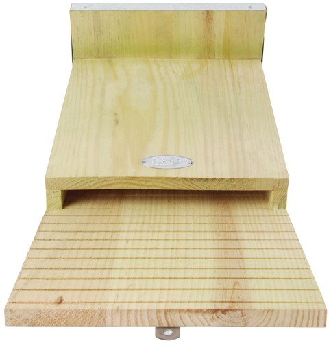 Bat nest nesting - nest, box