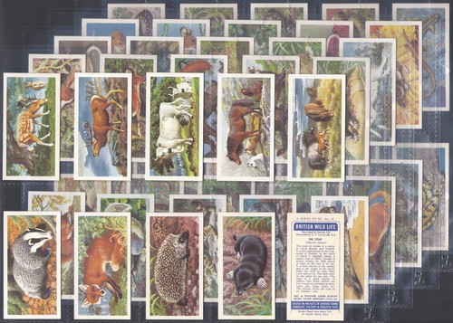 Brooke bond full set - brooke, (tea)-full