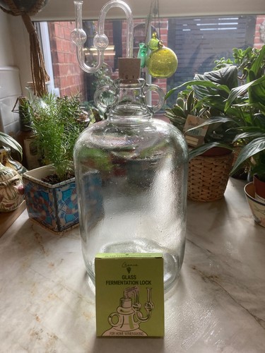 Demijohn vintage bottle wine - vintage,