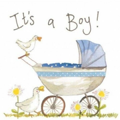 Alex clark sparkle new - new, baby