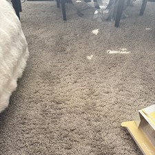  Large Beige Rug L 12' x W 9'