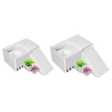 Reptile Tank with Resting Area