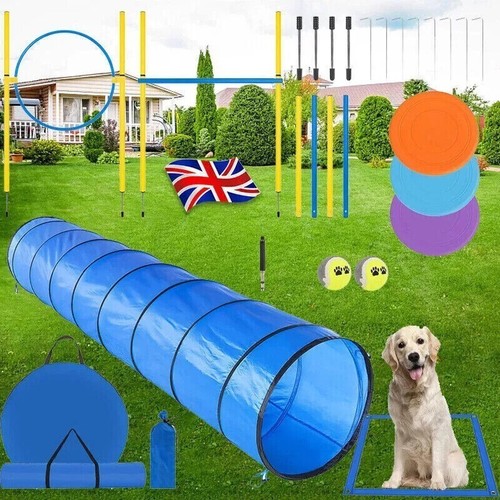 300cm dog agility equipment - 300cm,