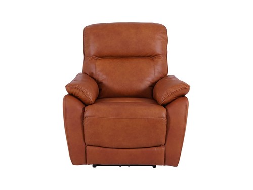 Salisbury tan real leather - real,