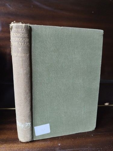 Rare wild exmoor - exmoor, the