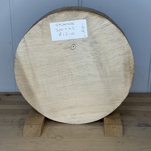 Sycamore bowl blank 200mm - bowl, x