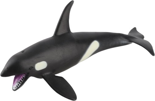 Tnfeeon animal model - tnfeeon, plastic