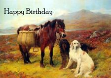 GORDON SETTER ENGLISH SETTER &