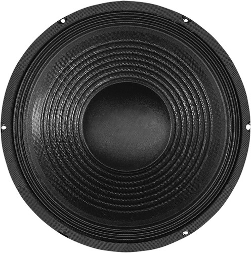 150w chassis speaker - 12",