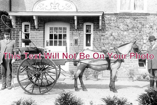 1150 men with horse - with,