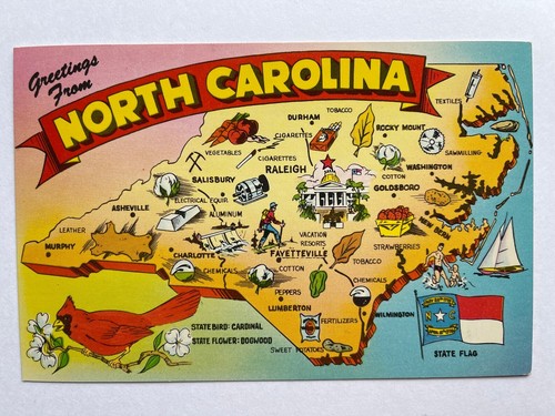 Vintage 1950s greetings from - 1950s,