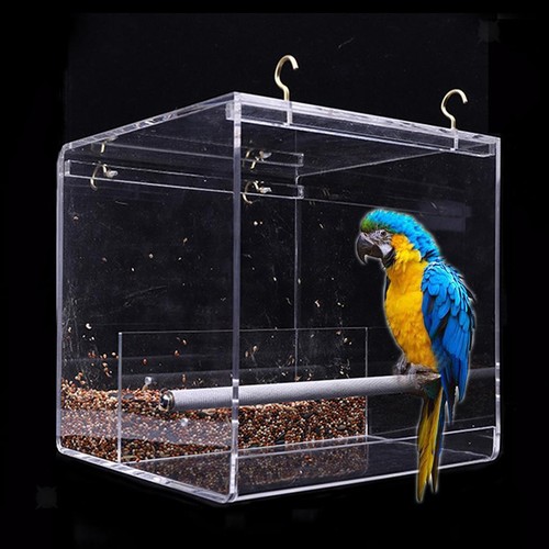 Pet bird feeder food water - pet,