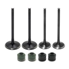 4PCS Intake Exhaust Valves &