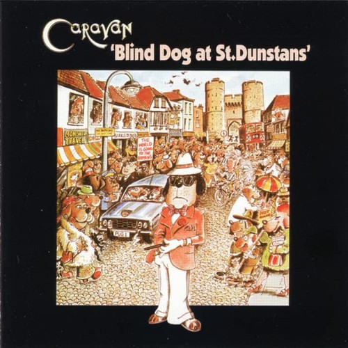 Blind dog dunstan - dog, on