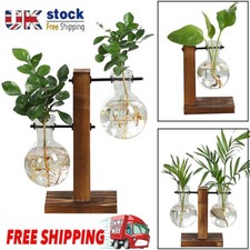Plant Propagation Station Desktop Bulb Glass Vase With Wooden Stand Hydroponics.