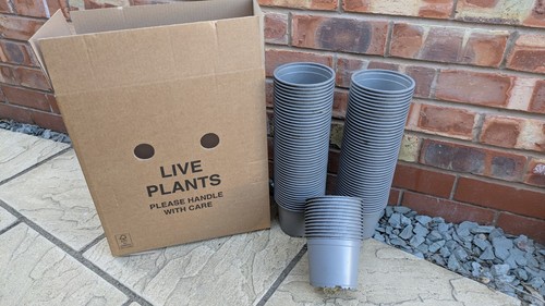 Plant pots 100 used - x,