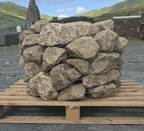 Celtic glacial rockery garden - celtic,