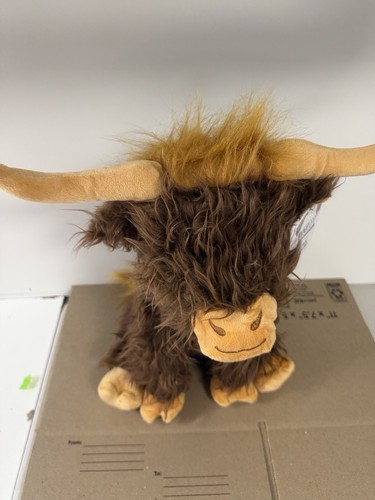 Hallie the highland - the, cow
