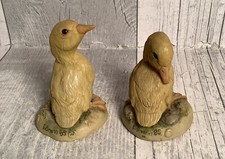 Teviotdale Edlmann Duck