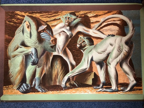 Baynard school prints - baynard,
