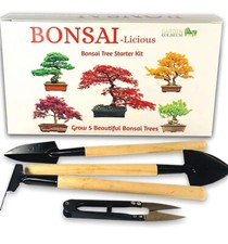 Bonsai Tree kit - Seed Germination Starter Kit with 6 Seed Species to Grow