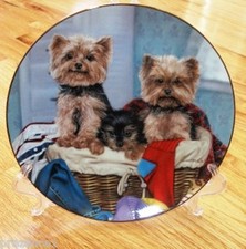 Danbury Mint Yorkshire Terrier