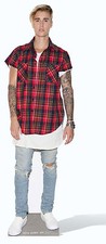 Justin Bieber Lifesize