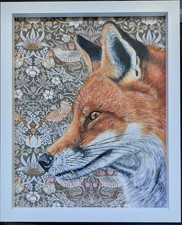 Original wild Large Red Fox
