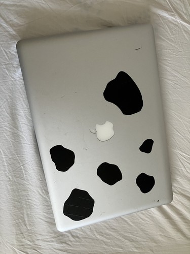 Apple macbook pro early 2011 - pro,